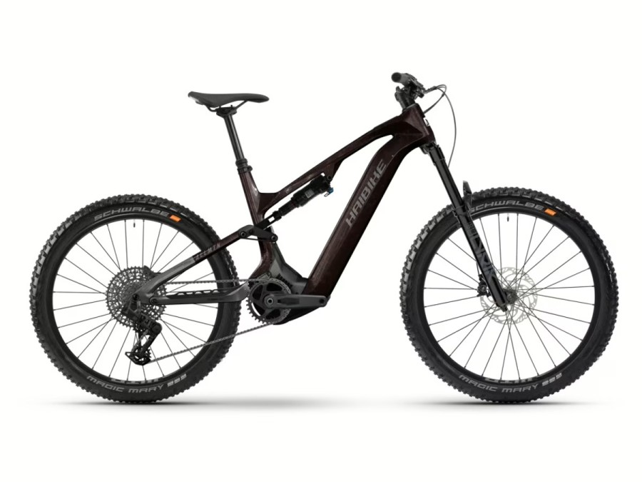 Haibike ALLMTN CF 9 - black/platinum